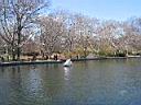 129 Central_Park.jpg